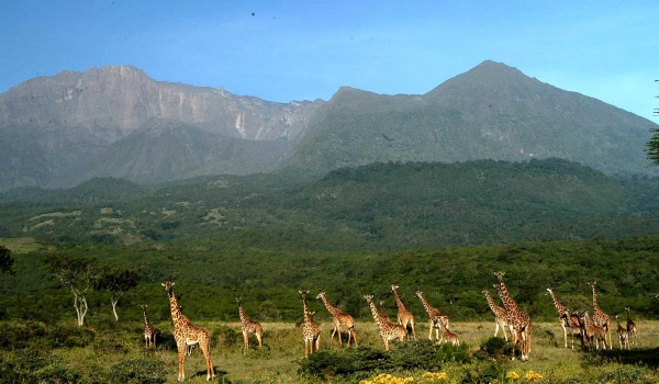  Climbing Mount Meru