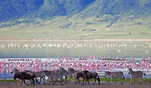 Ngorongoro Crater