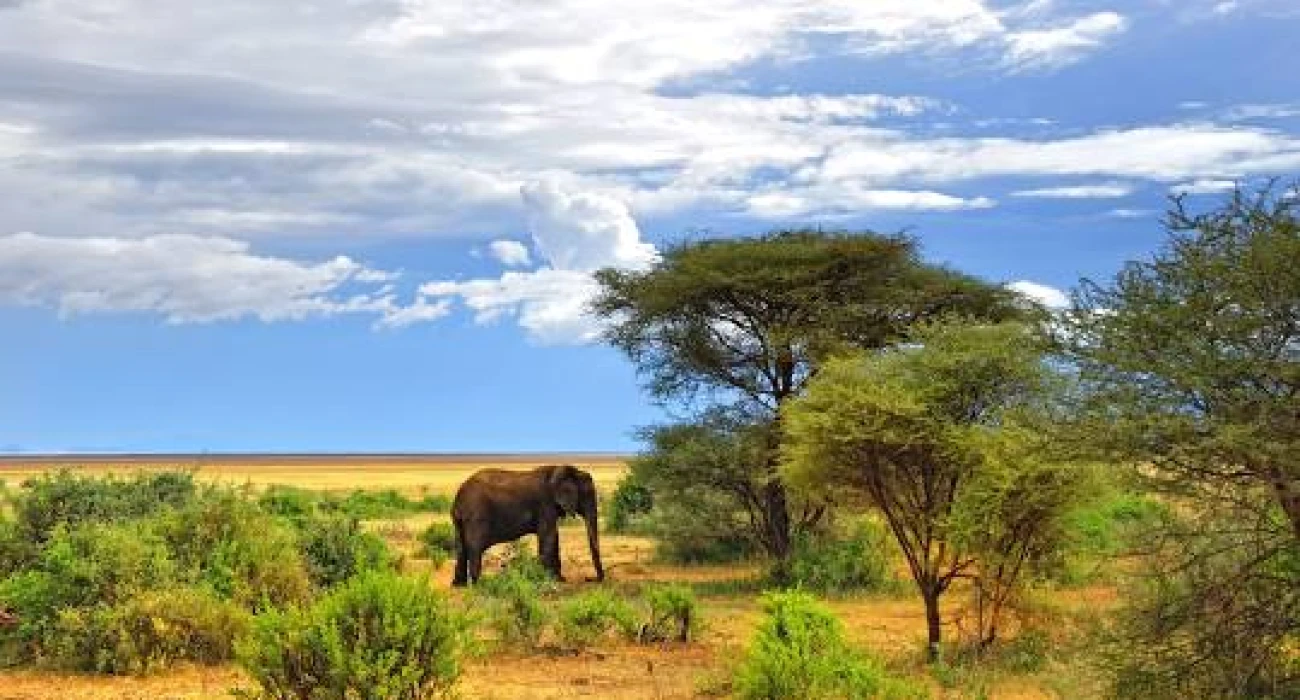 Ngorongoro