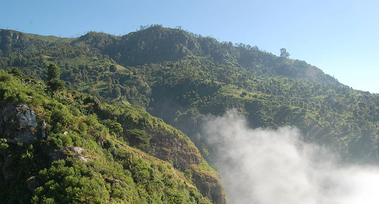 usambara mountain